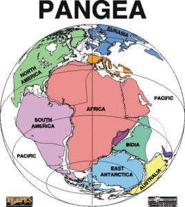 Continentul Pangeea, acolo unde Africa si America de Sud erau unite